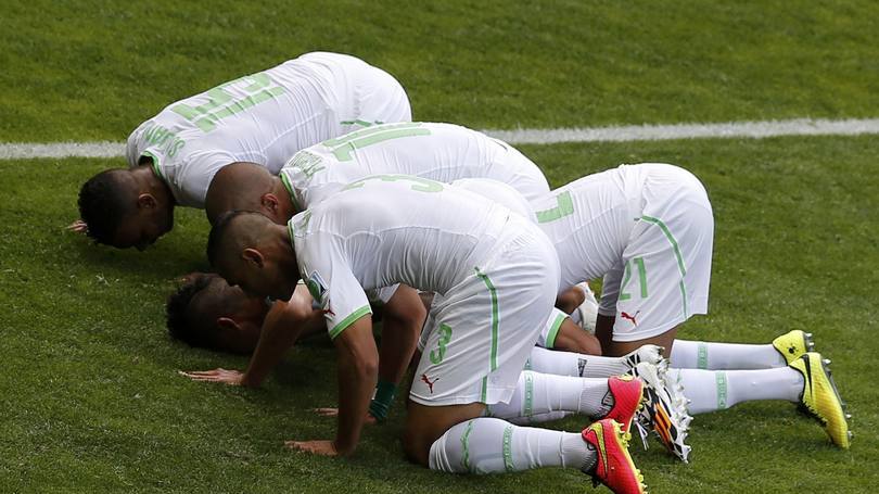 نجوم الجزائر في مونديال 2014