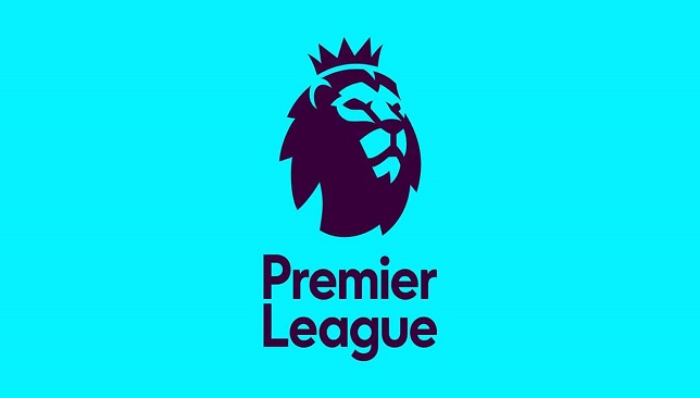 new-premier-league-logo-2016-17-8