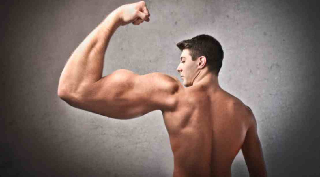 تقاس القوة العضلية عن طريق قوة عضلات الذراعين والحزام الصدري .